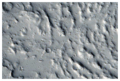 Sample of Long Lava Flows Northeast of Tharsis Tholus