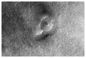 USGS Dune Database Entry Number 2372-771