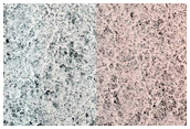 Parva Planum
