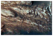 Western Rim of Palikir Crater