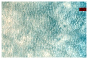 Southern Terra Cimmeria