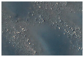 USGS Dune Database Entry Number 2410-561