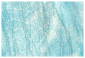 USGS Dune Database Entry Number 1952-753