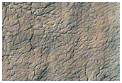 Region Dubbed Manhattan Classic Spider Terrain