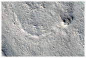 Enigmatic Surface Morphology in Northwest Syrtis Major Region