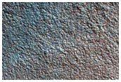 Gully Monitoring