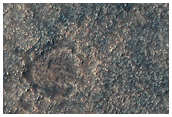 Possible Olivine-Rich Area in Nansen Crater