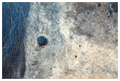 Bedrock in Syrtis Major Region
