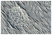 Fine Sub-Parallel Ridge Sets Crossing Nearly Perpendicular to the Other