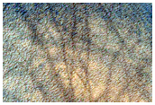 Crater with Gullied Wall in Noachis Terra