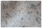 Non-Cryptic South Polar Terrain
