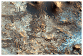 Mawrth Vallis Region