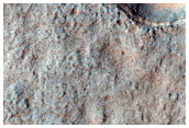 Candidate Future Landing Site in Terby Crater