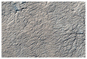 Region Dubbed Manhattan Classic Spider Terrain