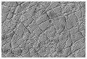 Polygonal Patterned Ground in Eastern Argyre Region