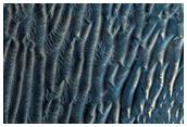 Berhrung von hellem Grundgestein und dunklen Dnen im nrdlichen Melas Chasma
