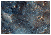 Gully Monitoring