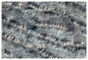 Large Possible Crater Cluster on South Polar Layered Deposits