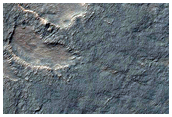 Spider Topography