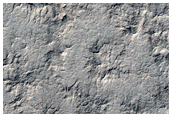 Spider Terrain