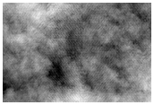 Spider Terrain