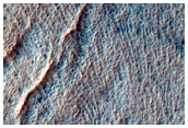 Gully Monitoring