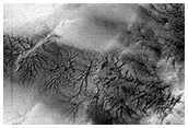 Giant Spiders in Interesting Terrain