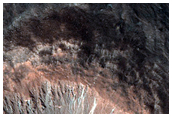 Gully Monitoring