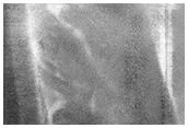 USGS Dune Database Entry Number 1134-774