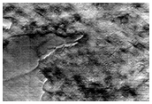 Candidate Seasonal Study Site