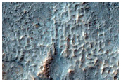 Gullies on Southern Mid-Latitude Crater