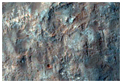 Candidate Landing Site for 2020 Mission in Ladon Valles