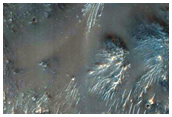 Slope Monitoring