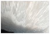 Gully Monitoring