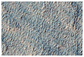 Ridges and Gullies Near Terra Sirenum