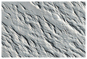Mounds Near Amazonis Mensa