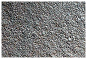 Gully Monitoring