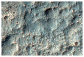 Possible Chloride-Rich Terrain