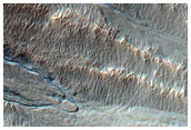 Gullies in Southern Mid-Latitude Crater