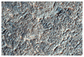 Braided Channel with Mantled Bars and Linear Ridge at Bar Margin