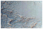Gullies in Southern Mid-Latitude Crater