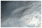 Gullies in Southern Mid-Latitude Crater