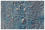 Interesting Young Flow Features in Nereidum Montes