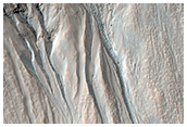 Gullies in Crater Near Newton Crater
