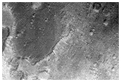 Candidate Landing Site for 2020 Mission in Hypanis Valles Delta