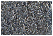 Curvilinear Ridges in Isidis Planitia
