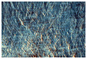 Monitor Fresh Crater