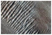 Pits and Fractures on Arsia Mons