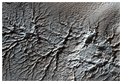 Spider Terrain
