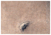 Candidate Seasonal Study Site